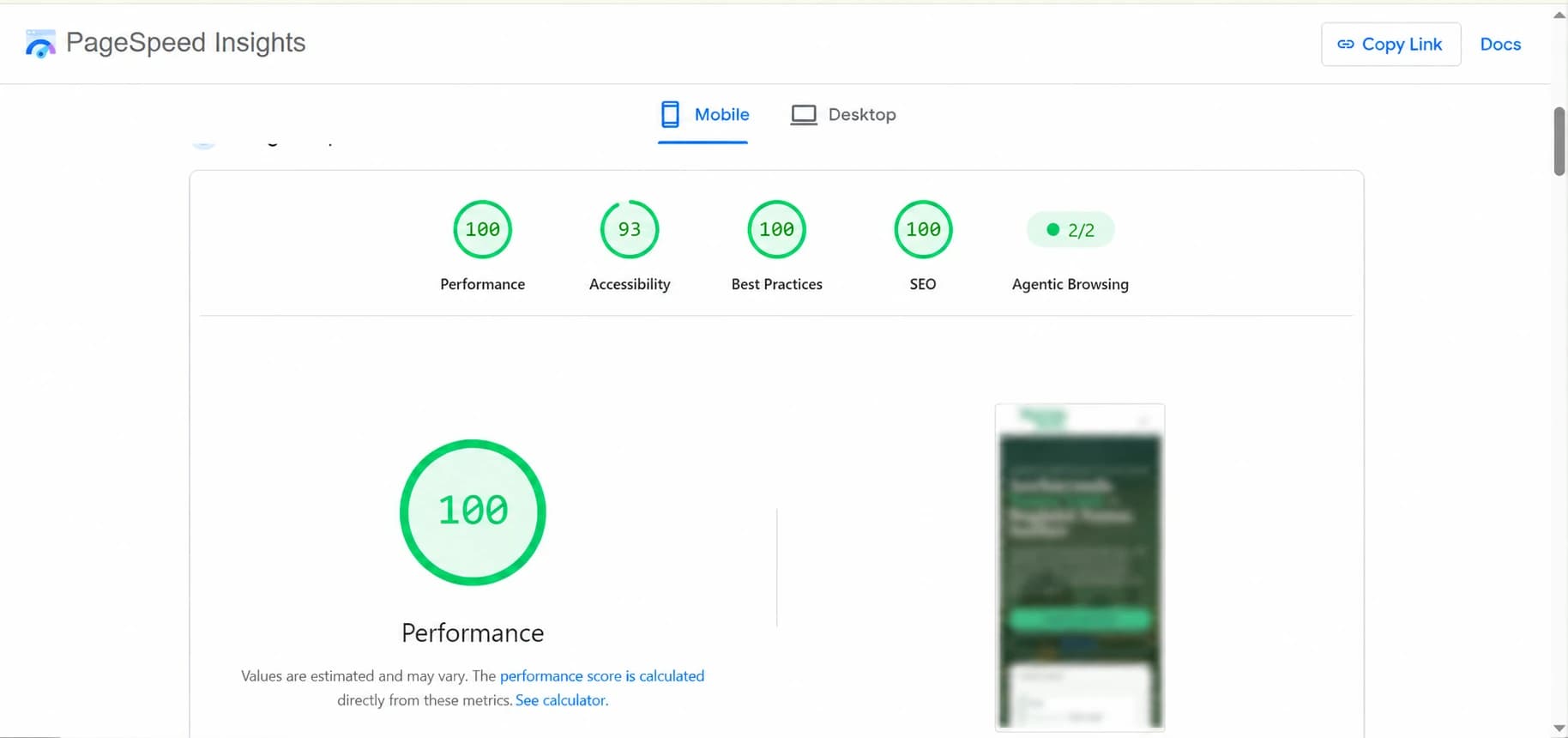 Mobile PageSpeed Insights audit showing Performance 100, Accessibility 93, Best Practices 100 and SEO 100